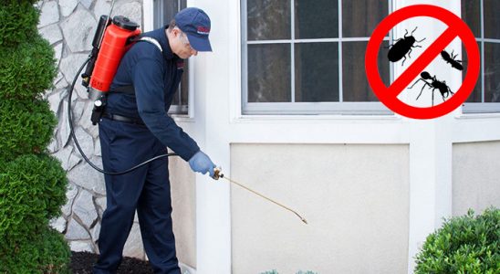 Simav Kemirgen İlaçlama böcek ilaçlama ve haşere kontrolü — ilaclama-tr.com